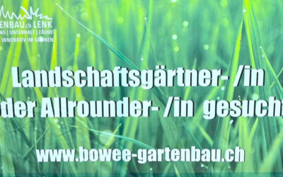 Wir suchen DICH!